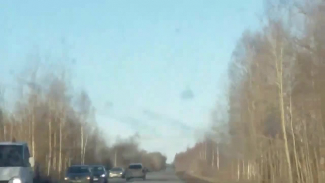 На трассе Петродворец-Кейкино произошло смертельное ДТП