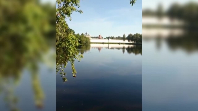 В Тихвине выловили тело пьяного утопленника