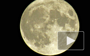 Очевидцы сняли самую большую Луну за 70 лет Очевидцы сняли самую большую Луну за 70 лет
