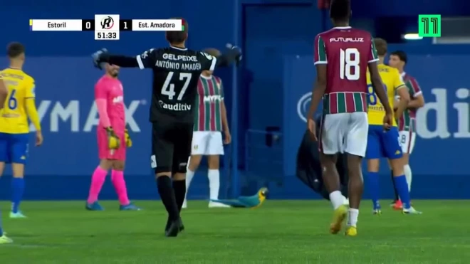 Попугай прервал футбольный матч в Португалии