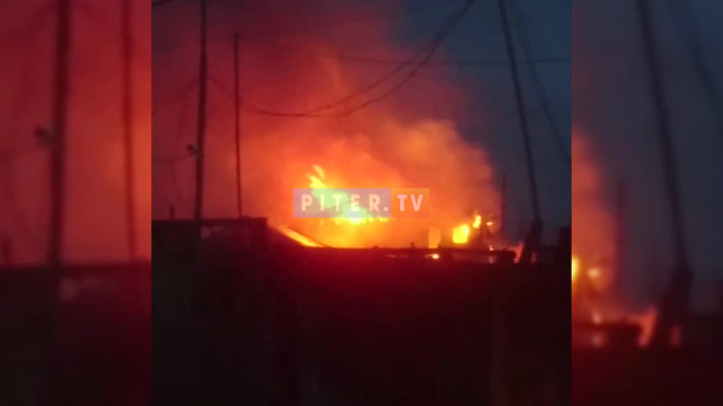 Видео: в поселке Терволово горит пилорама 