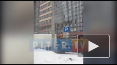 Видео из Петербурга: на Репищевой взорвался дом
