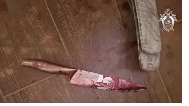 Появилось видео с места убийства жены экс-голкипера СКА