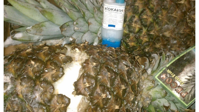 Таможенники Украины нашли в ананасах 38 килограммов кокаина