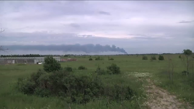 Пожар в Красном бору локализован, но опасное токсичное облако осталось