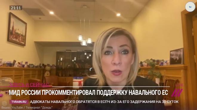 Захарова рассказала об ответах Германии на запросы по анализам Навального