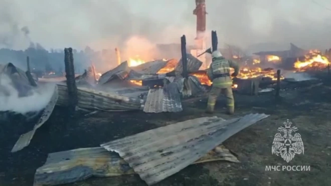 В уральском селе сгорели десять домов