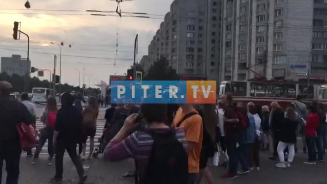 Видео: у метро "Приморская" проходит пикет в поддержку создания парка в устье реки "Смоленки"