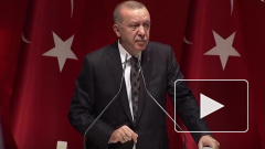 Эрдоган предложил проверить мозг Макрону на наличие рака мозга