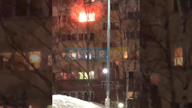 Видео: на  Аллее Поликарпова загорелась квартира 