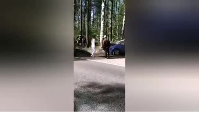 Машина влетела в дерево на дороге недалеко от Ольгино 