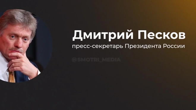 Песков заявил, что Россия заинтересована в развитии отношений с Аргентиной