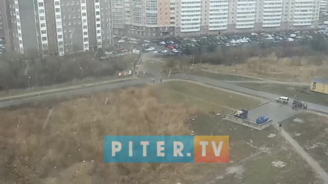 В среду в Петербурге пройдет мокрый снег 