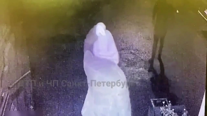 Появилось видео, как в Сестрорецке неизвестный избил прохожего