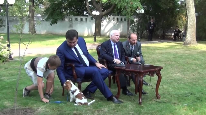 Михаил Саакашвили полюбил собаку на глазах у Джона Маккейна