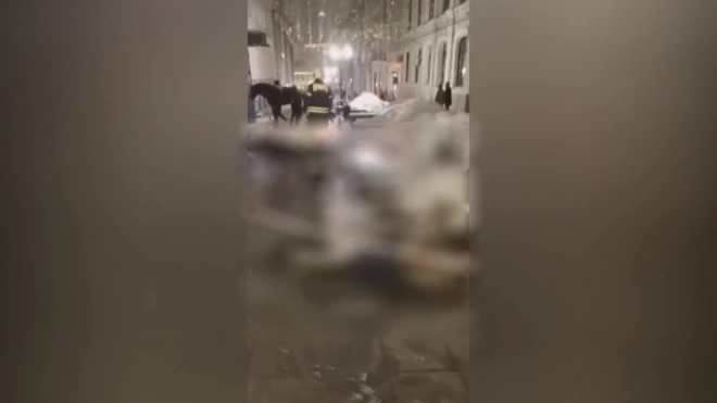 В центре Москвы лошадь ударило током