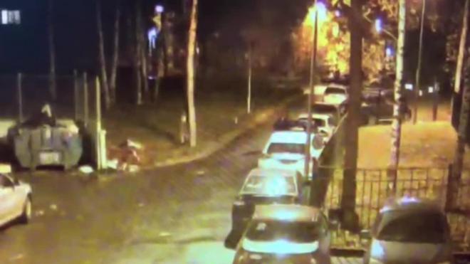 Жительница Фрунзенского района подозревается в организации поджога "Шкоды" на улице Верности