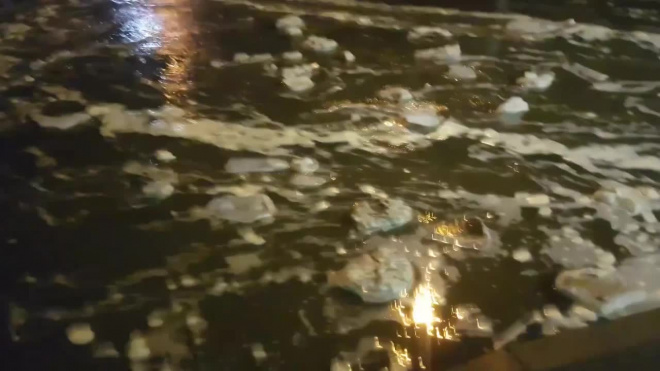 Улицы Сестрорецка затопила вода