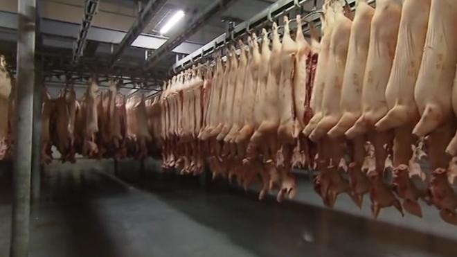 В России снизился импорт иностранной свинины 