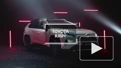 Toyota RAV4 возглавил рейтинг самых угоняемых автомобилей в России