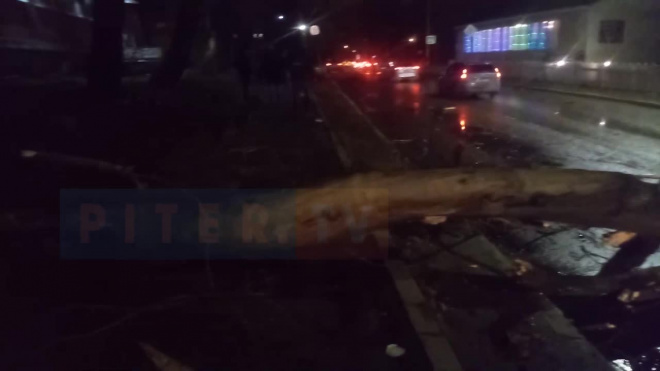 Упавшее дерево на Южном шоссе перегородило дорогу 