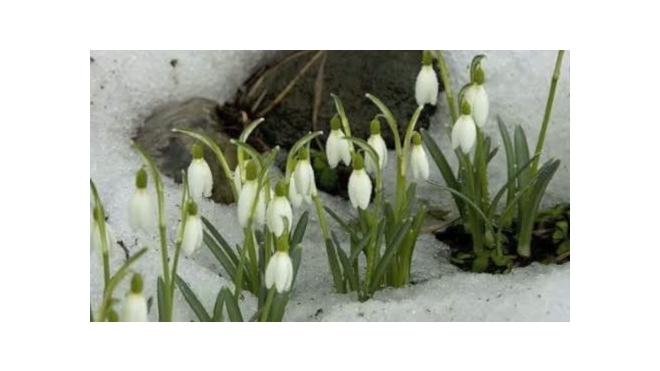 Гидромет обещает настоящую весну не раньше апреля