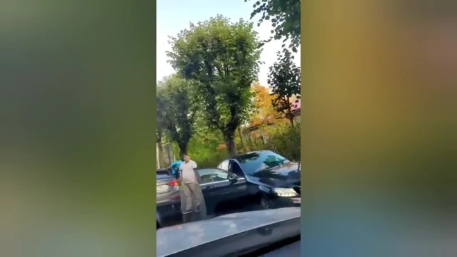 В результате ДТП в Пушкине пострадали трое полицейских и женщина-водитель