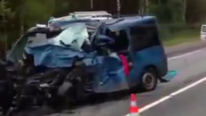 Видео с места жуткой аварии под Новгородом, в которой погибли 6 граждан Украины, опубликовали в интернете