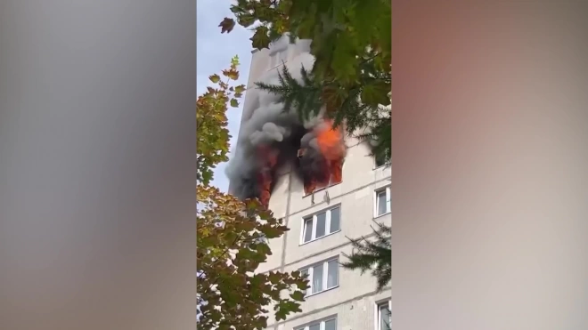 Пять человек пострадали при пожаре в жилом доме на севере Москвы