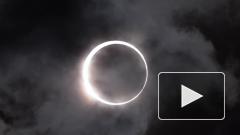 Жители ряда регионов России смогут увидеть кольцеобразное затмение Солнца