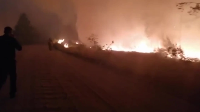В Карталинском районе Челябинской области объявили режим ЧС из-за лесных пожаров