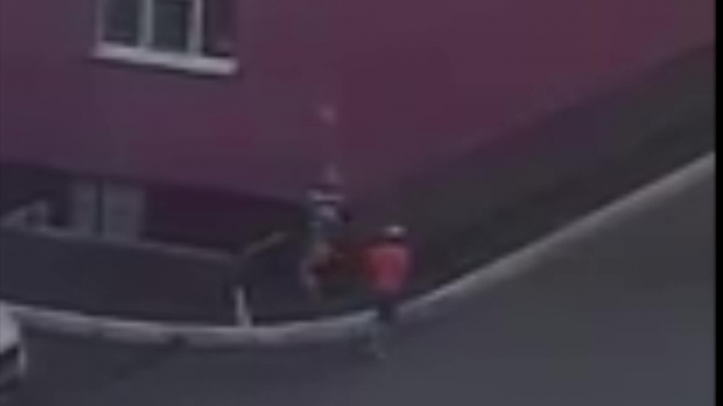 Чудовищное видео из Пензы: Дети швыряли и кидали мертвую собаку