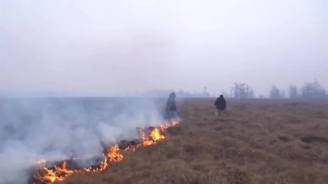 В Магаданской области загорелась в мороз сухая трава