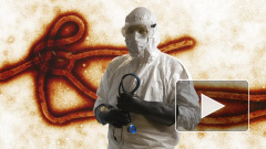 Доказана эффективность лекарства от Эболы для борьбы с COVID-19