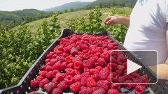 Врачи назвали самые полезные продукты при эпидемии коронавируса