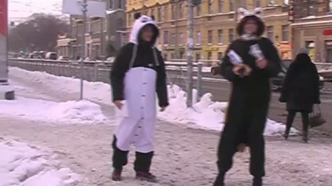По мехам! Защитники  животных в лютый мороз  призвали отказаться от норки и кожи