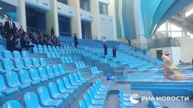 Ким Чен Ын посетил Приморский океанариум во Владивостоке