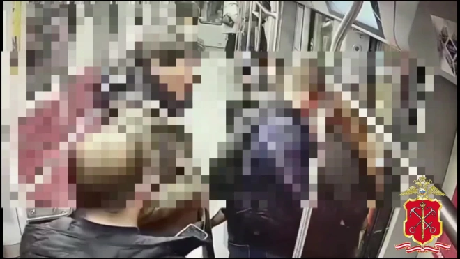 На станции метро "Девяткино" у девушки украли смартфон