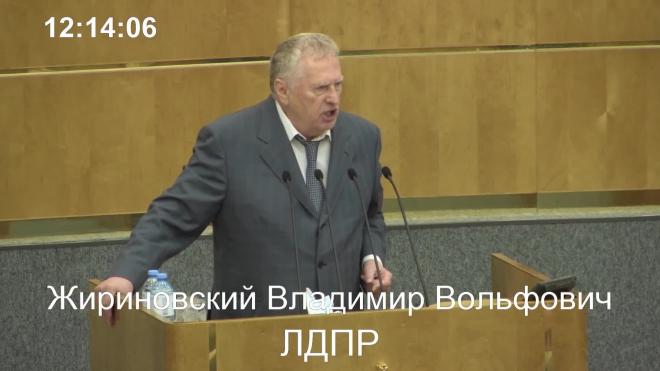 Жириновский заявил о готовности встать на колени перед хабаровчанами
