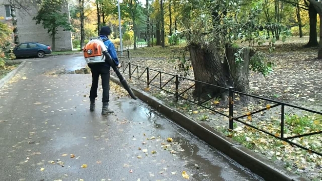 Гастарбайтер пылесосит листья