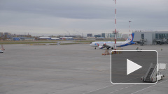 Руководитель "Уральский авиалиний" назвал сроки возобновления полётов за рубеж