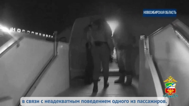 В аэропорту Толмачево задержали буйного пассажира