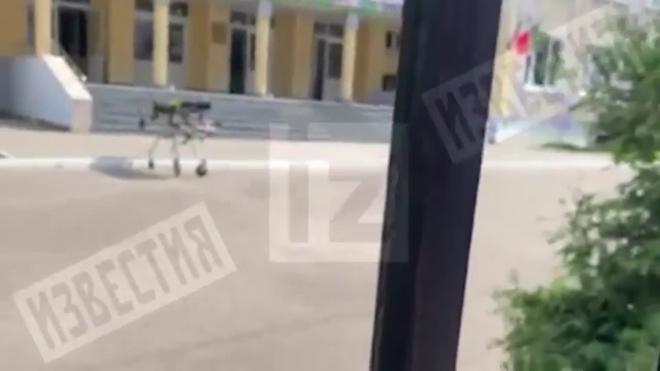 Опубликовано видео первых минут после стрельбы в школе в Казани