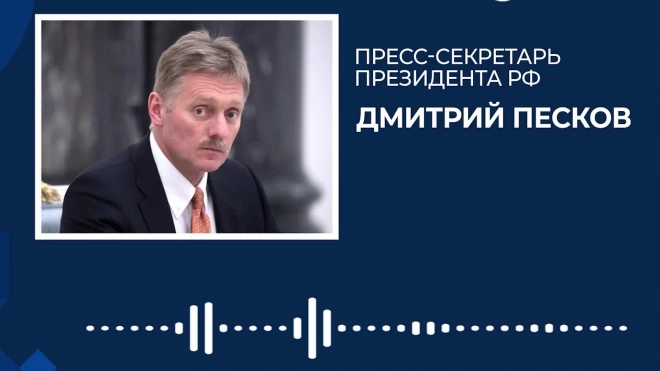 Песков раскрыл формат участия России в саммите БРИКС