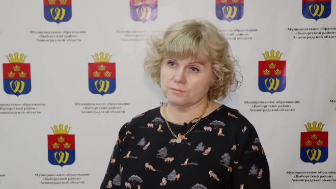 Нина Сивицкая рассказала предпринимателям Выборгского района об антиковидных ограничениях