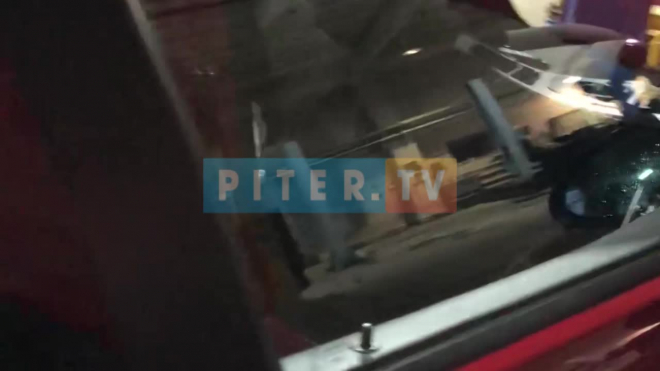 Видео: в Петербурге мужчина купил поддержанное авто, а через два дня обнаружил внутри труп змеи