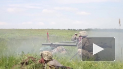 В ЛНР заявили, что остановить Украину смог лишь патруль ОБСЕ