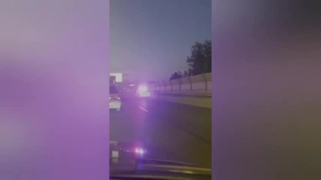 На Киевском шоссе заметили бычка в сопровождении полицейских 