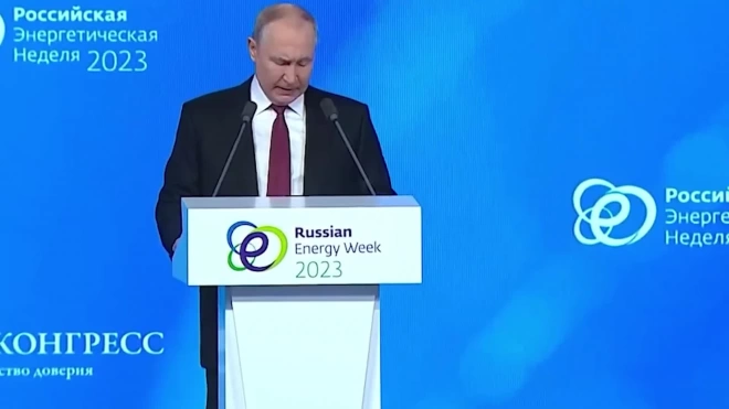 Путин: западные элиты внесли хаос в мировой энергорынок