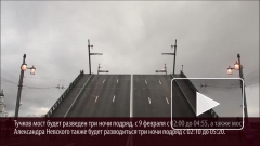 В Санкт-Петербурге в ночь на среду разведут два моста